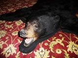 BLACK BEAR RUG