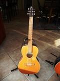 SEAGULL GRAND ACOUSTIC GUITAR