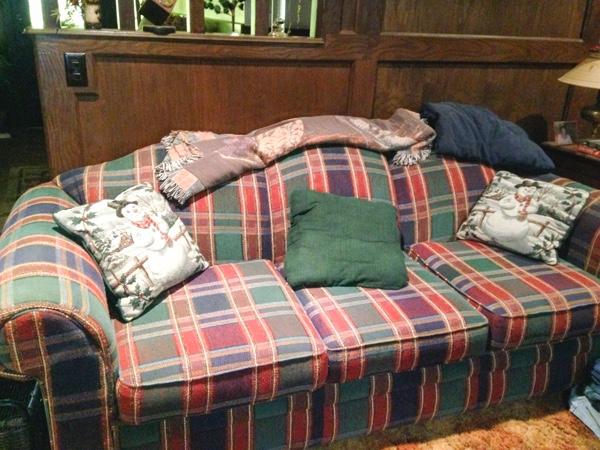 plaid couch