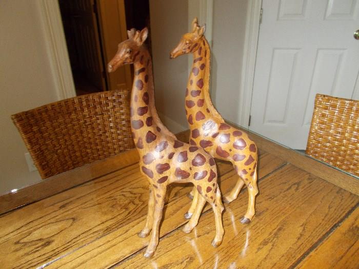 Pair of Tall Giraffes