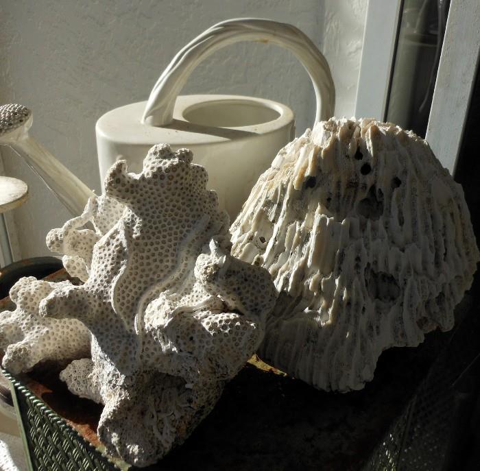 Large Corals and Ceramic Watering Can on Tall Metal Plant Stand