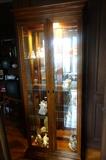 PRISTINE LIGHTED CURIO