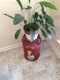 Milk can and will have several house plants for sale
