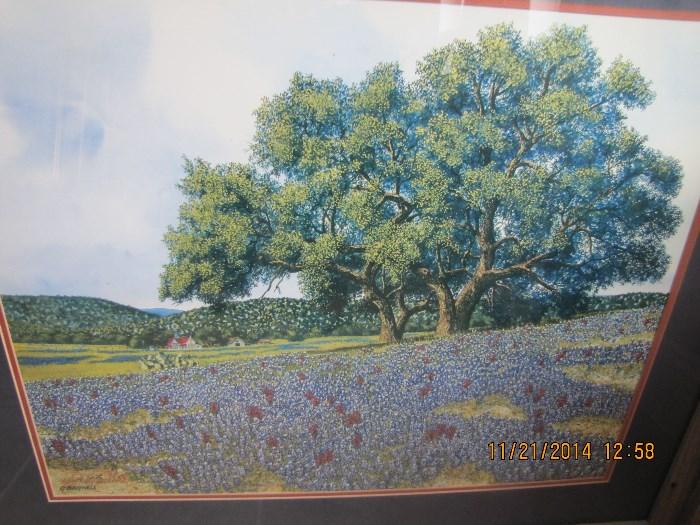 George Boutwell Bluebonnets Limited Edition