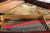 A54 #1 Steinway & Sons  1998 5’1” (The Crown Jewel Collection ) Dark Cherrywood Baby Grand Piano with Piano Disc PDS-128  Signed  Henry Ziegler Steinway #548152 Condition of 9/10