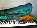 VIOLIN