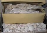 Boxes of shells