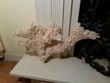 LARGE PIECE OF CORAL