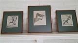 Beautiful Bird Etchings