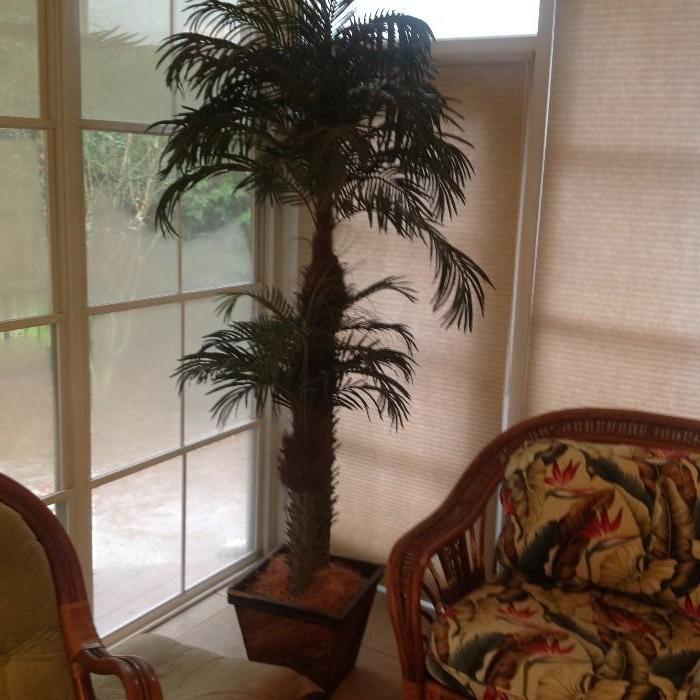 Potted Palm Tree Decor $ 80.00
