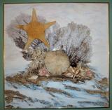 3D Sea Shell Wall Art