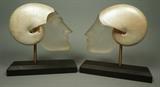 Lot 100:  Pr Nautilus Shell & Acrylic Head Sculptures. Cast acrylic faces with half nautilus shell headdresses. Mounted on black wood base on metal rod. Not marked.: Dimensions:  H: 11 inches: W: 10 inches: D: 4 inches --- 
