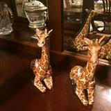                        Pair of giraffes