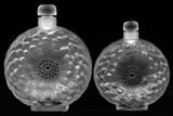 Lot#1097, LALIQUE 'DAHLIA' FROSTED GLASS PERFUME BOTTLES, TWO, H 6 3/4" & 8"Each is accented with black enamel and signed "Lalique France" underneath.  Measuring H.6 3/4" x 5 1/2" and H.8" x 6 1/2".