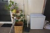 Plants & Ice Chest