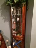 Large Curved Glass Curio Display!