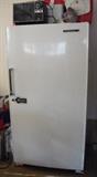 General Electric Freezer