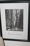 Ansel Adams collection
