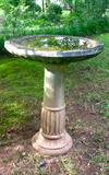 NICE OLD BIRD BATH