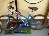 WOMENS SCHWINN BIKE