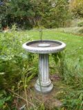 Old Bird Bath