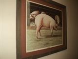 Signed print of pigs ---- the perfect picture to represent Bryan's wonderful hams!!!