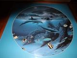 Wyland Framed Art Print