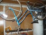 Schwinn Collegiate 3 (hanging from the ceiling)