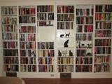 1000 + novels