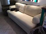 White contemporary sofa, dog not included!