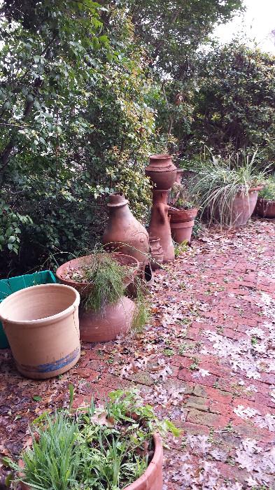 Some of the many, many terra cotta flower pots in the yard.
