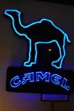 Neon Camel sign