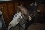 Horse skull/ antique saddle