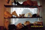 Vintage Hats