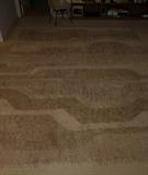 DANISH MODERN MID-CENTURY RYA RUG
