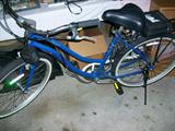 electric bicycle