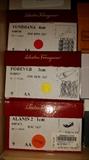 Salvatorre Ferragamo Shoe collections