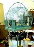Collection of birdcages and stands