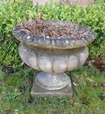Large cement garden urn (24" diameter)