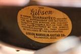 Gibson label on insider of banjo