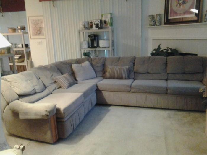Sleeper sofa and electric recliner