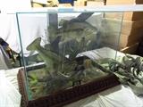 Mounted Fish Case