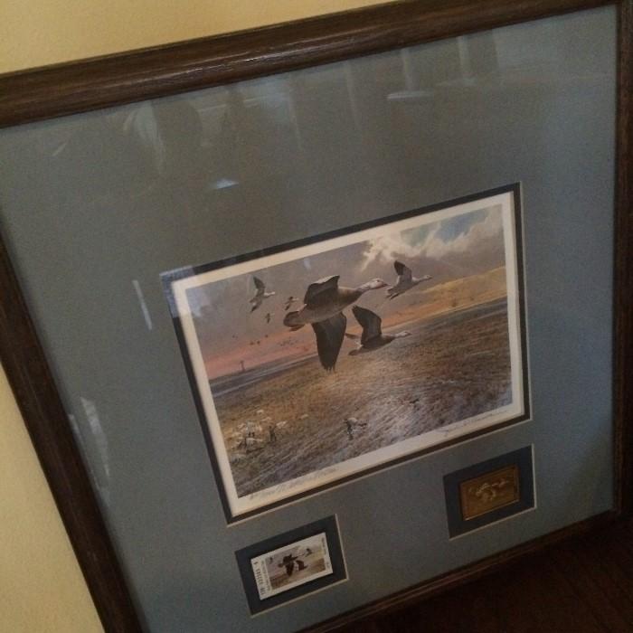      Collector's duck print with stamps framed art