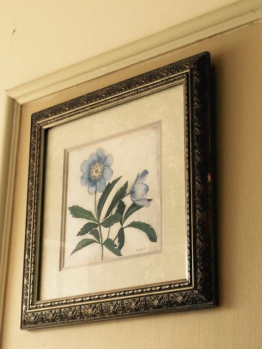 Pair of Botanical Prints
