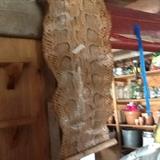 HUGE snake skin