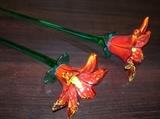 Blown Glass Flowers
