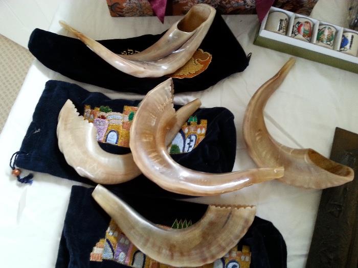 Collection of rams horn shofars