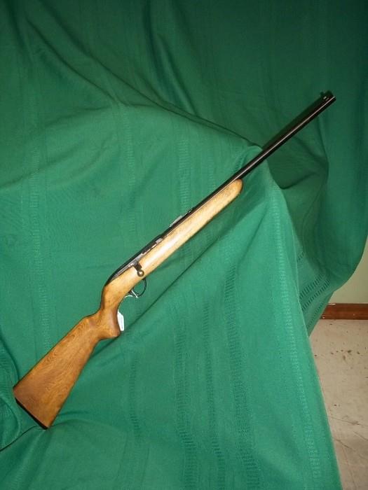 Savage Arms model 73 .22 lr Youth single shot bolt action