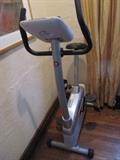Biodyne electric treadmill