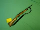 Ruger, Model 1022, 22LR, 
